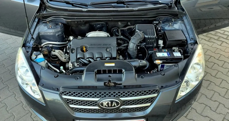 Kia Ceed cena 18900 przebieg: 103000, rok produkcji 2009 z Płock małe 326